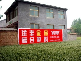  泸县如何让墙体广告展现最大化效果
