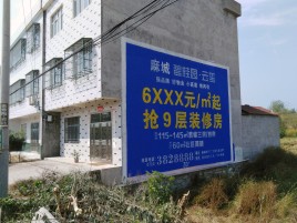  泸县墙体广告质量分析
