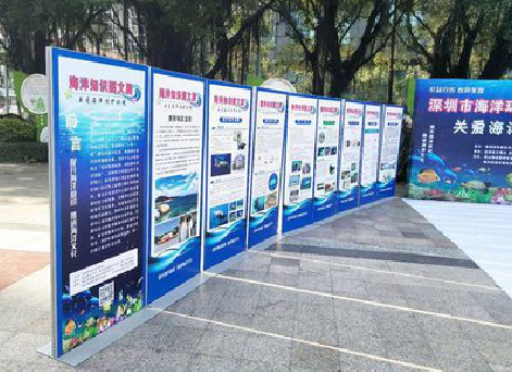  泸县KT板的种类和知识。